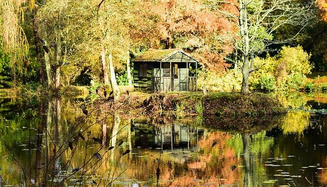 무료 다운로드 Chalet Forest Autumn - 무료 무료 사진 또는 GIMP 온라인 이미지 편집기로 편집할 수 있는 사진