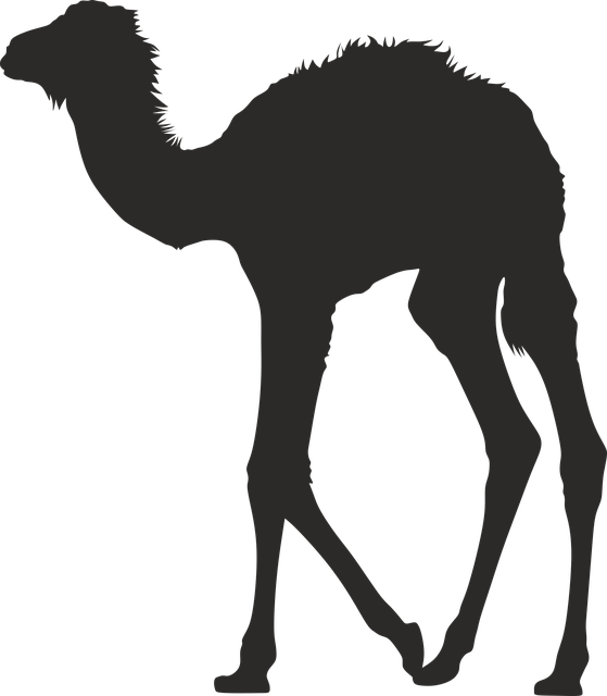 Free download Chameleonic Desert Animal - Free vector graphic on Pixabay free illustration to be edited with GIMP free online image editor