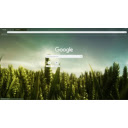 Chameleon on Crops  screen for extension Chrome web store in OffiDocs Chromium