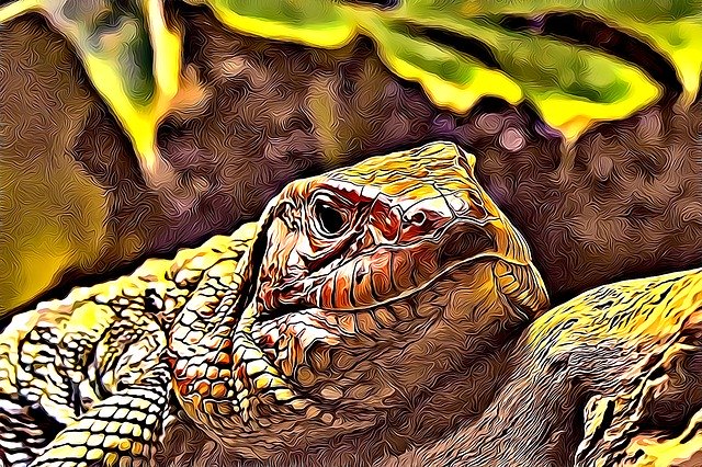 تنزيل Chameleon Texture Design مجانًا - رسم توضيحي مجاني ليتم تحريره باستخدام محرر الصور المجاني عبر الإنترنت من GIMP