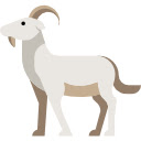 Chamois on the Ridge  screen for extension Chrome web store in OffiDocs Chromium