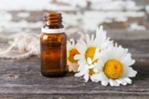Free download Chamomile Oil free photo or picture to be edited with GIMP online image editor