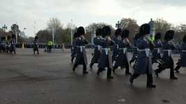 Free download Change Of Guard Buckingham Palace -  free video to be edited with OpenShot online video editor