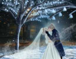 Free download Chapter 36 - Wedding Illustration free photo or picture to be edited with GIMP online image editor