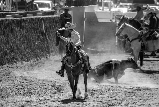 Free download charros horses animals calf mexico free picture to be edited with GIMP free online image editor