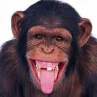 Free download Cheeky free photo or picture to be edited with GIMP online image editor