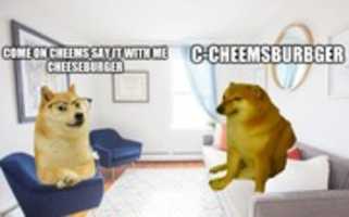 Free download Cheems Memes free photo or picture to be edited with GIMP online image editor