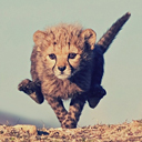 Cheetah Cub  screen for extension Chrome web store in OffiDocs Chromium