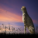 Cheetah Theme  screen for extension Chrome web store in OffiDocs Chromium