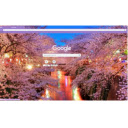 Cherry Blossom Forest with lots of lights  screen for extension Chrome web store in OffiDocs Chromium