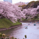 cherry blossoms and river  screen for extension Chrome web store in OffiDocs Chromium