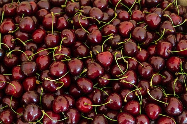 Free download Cherry Cherries Fruit -  free photo or picture to be edited with GIMP online image editor