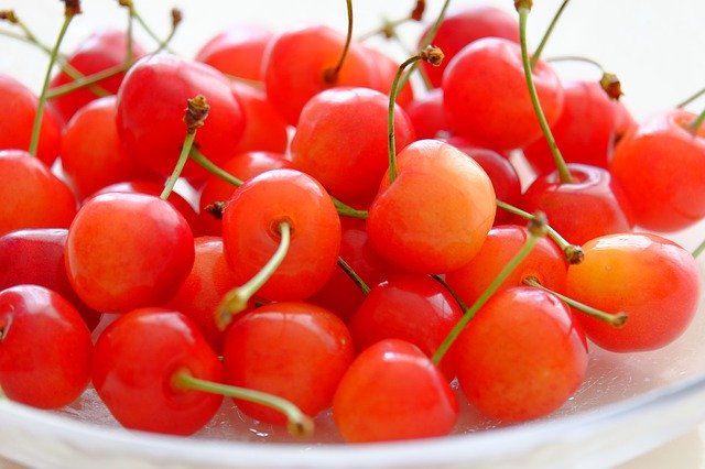 Free download Cherry Fruit Summer -  free photo or picture to be edited with GIMP online image editor