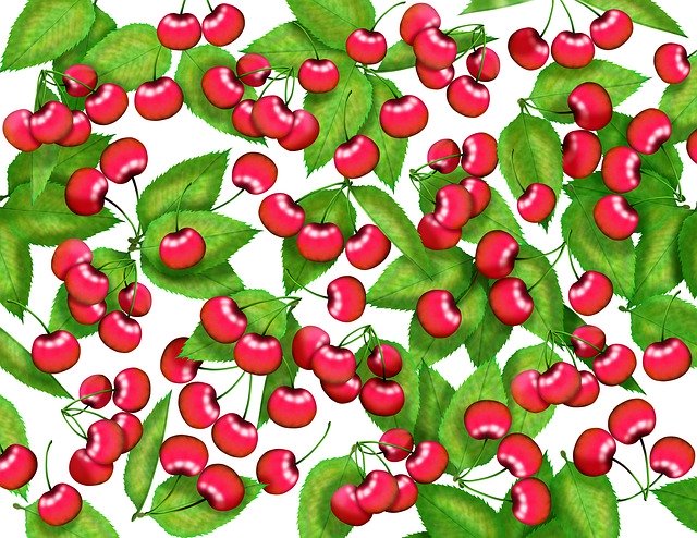 Free download Cherry Pattern Plant -  free illustration to be edited with GIMP free online image editor