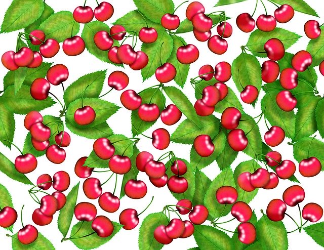 دانلود رایگان Cherry Pattern Plant - تصویر رایگان قابل ویرایش با ویرایشگر تصویر آنلاین رایگان GIMP