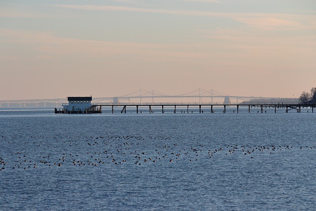 Free download chesapeake bay bridge pier boat free picture to be edited with GIMP free online image editor