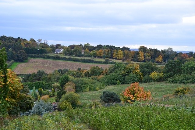 Free download Cheshire Autumn Fall -  free photo or picture to be edited with GIMP online image editor