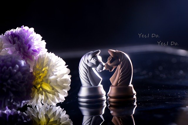 Free download Chess Love -  free illustration to be edited with GIMP free online image editor