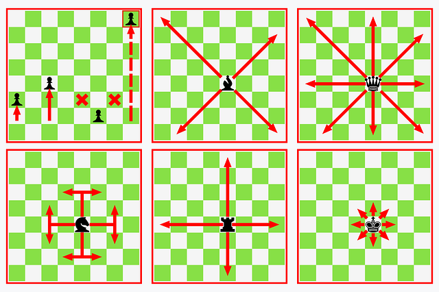 Free download Chess Movements Strategy Rules Of - Free vector graphic on Pixabay free illustration to be edited with GIMP free online image editor