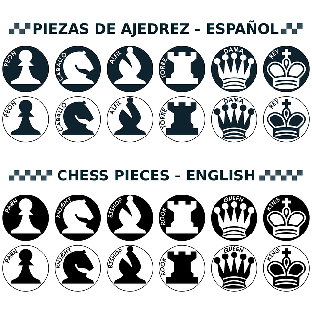 Free download Chess Parts With Names Figures - Free vector graphic on Pixabay free illustration to be edited with GIMP free online image editor
