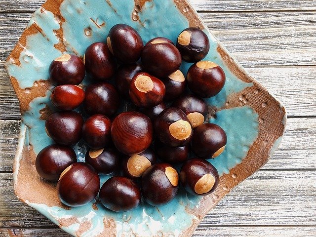 Free download Chestnuts Nut Autumn -  free photo or picture to be edited with GIMP online image editor