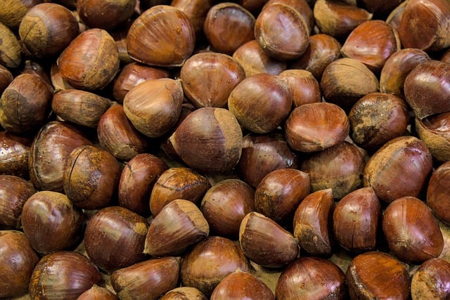 Free download chestnut sweet chestnut maroni meal free picture to be edited with GIMP free online image editor