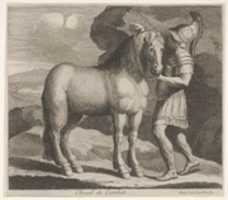 Free download Cheval de Combat free photo or picture to be edited with GIMP online image editor
