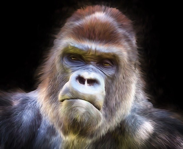 Free download Chewbacca Gorilla Man -  free illustration to be edited with GIMP free online image editor