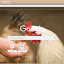 Chicken  screen for extension Chrome web store in OffiDocs Chromium