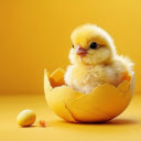 Chicken chick  screen for extension Chrome web store in OffiDocs Chromium