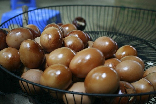 Free download Chicken Eggs Tam Dao Egg Bake -  free photo or picture to be edited with GIMP online image editor