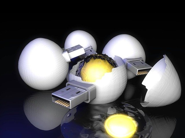 Free download Chicken Eggs Usb Nature Vs -  free illustration to be edited with GIMP free online image editor