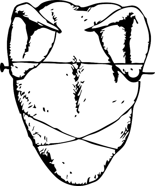 Free download Chicken Hen Fowl - Free vector graphic on Pixabay free illustration to be edited with GIMP free online image editor