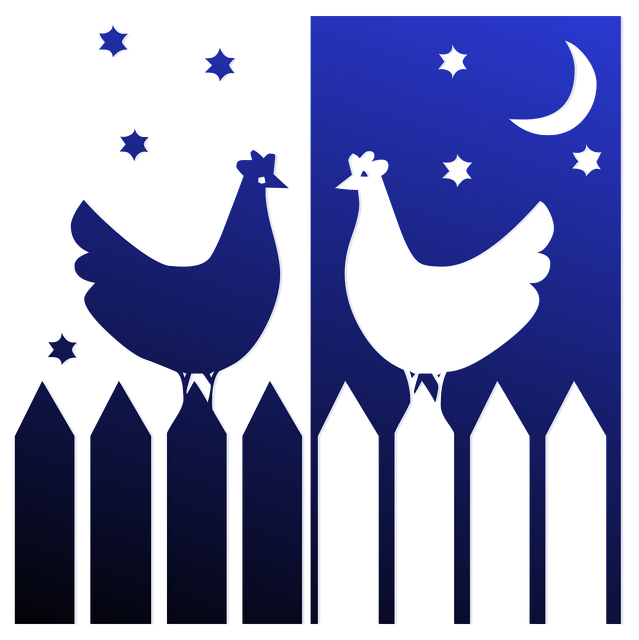 Kostenloser Download von Chicken Night Stars – kostenlose Illustration zur Bearbeitung mit dem kostenlosen Online-Bildeditor GIMP