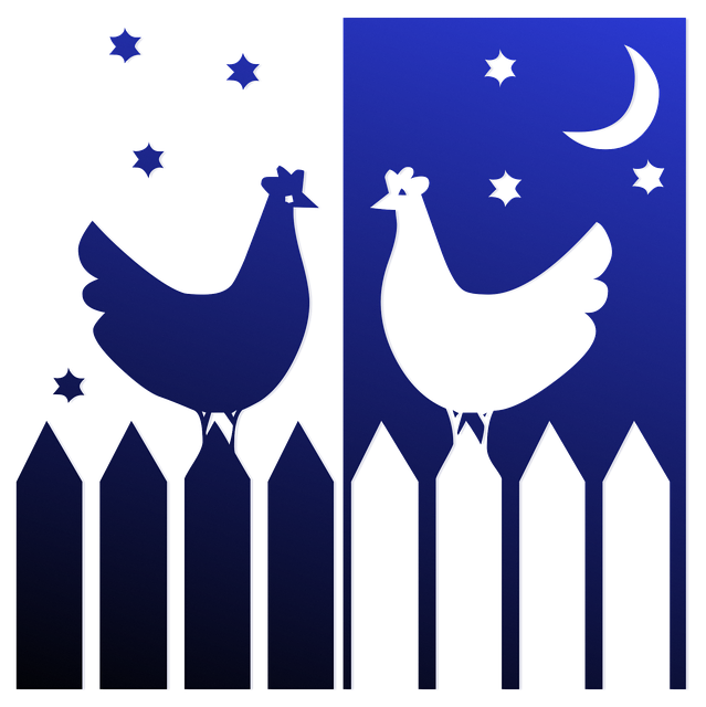 Free download Chicken Night Stars -  free illustration to be edited with GIMP free online image editor