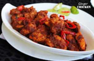 Free download Chicken Re free photo or picture to be edited with GIMP online image editor