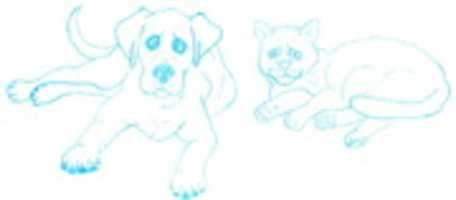 Free download Chien Chat free photo or picture to be edited with GIMP online image editor