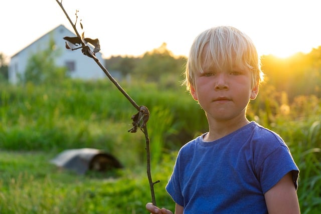 Free download child boy cute kid young free picture to be edited with GIMP free online image editor