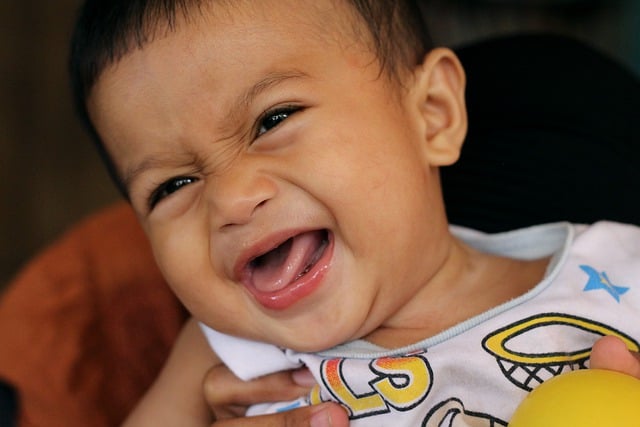 Free download child children laugh cheerful tiny free picture to be edited with GIMP free online image editor