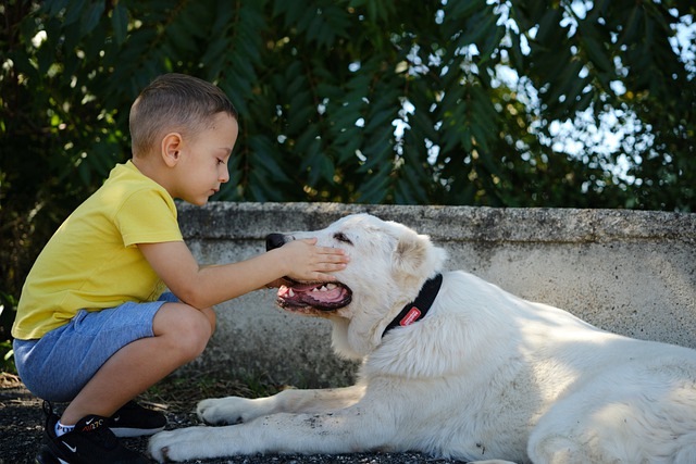 Free download child dog friends love pet canine free picture to be edited with GIMP free online image editor