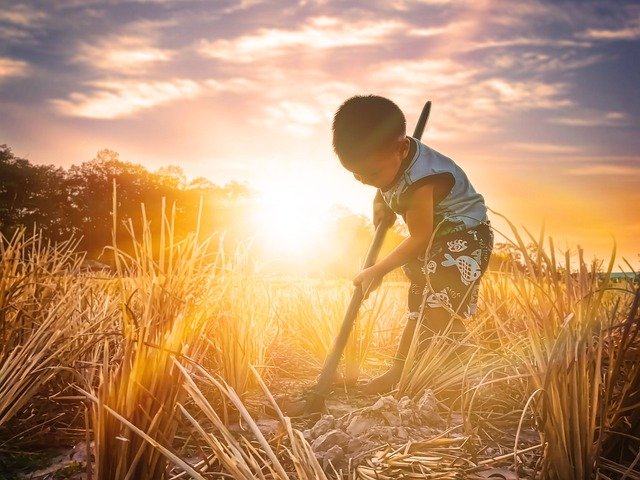 Free download child field dig meadow boy walk free picture to be edited with GIMP free online image editor