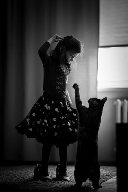 Free download child girl cat animal game free picture to be edited with GIMP free online image editor