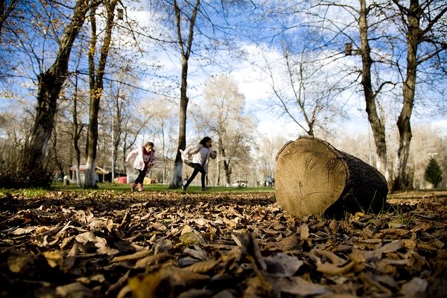 Free download Child Nature Happiness -  free photo or picture to be edited with GIMP online image editor