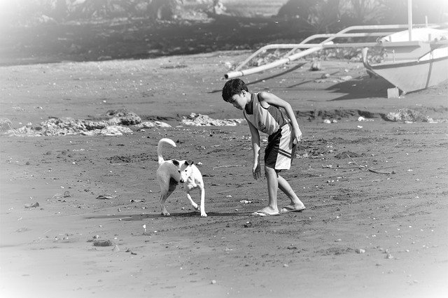 Descărcare gratuită Child Play Beach - fotografie sau imagini gratuite pentru a fi editate cu editorul de imagini online GIMP