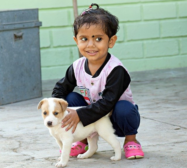 Descărcare gratuită Child Puppy Puppy - fotografie sau imagini gratuite pentru a fi editate cu editorul de imagini online GIMP