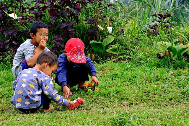 Free download children playing outdoor kid boy free picture to be edited with GIMP free online image editor