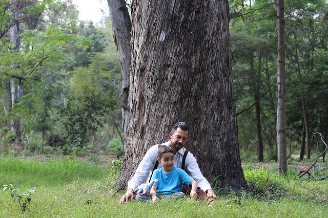 Free download Child Tree Nature -  free photo or picture to be edited with GIMP online image editor