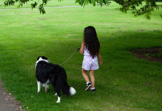 Free download Child With Dog Walking -  free photo or picture to be edited with GIMP online image editor