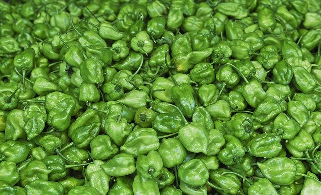 Free picture Chile Habanero Market Spicy -  to be edited by GIMP free image editor by OffiDocs