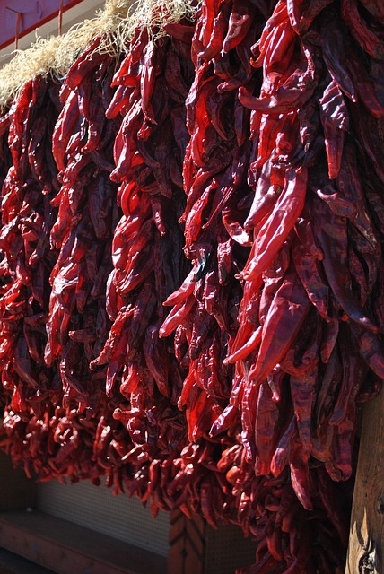 Free download chiles ristras santa fe new mexico free picture to be edited with GIMP free online image editor